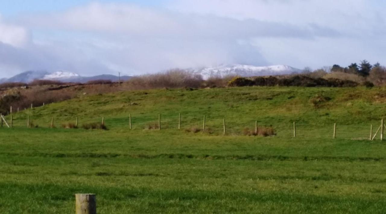 Madra Rua Organic Accommodation Ballyliffin Luaran gambar
