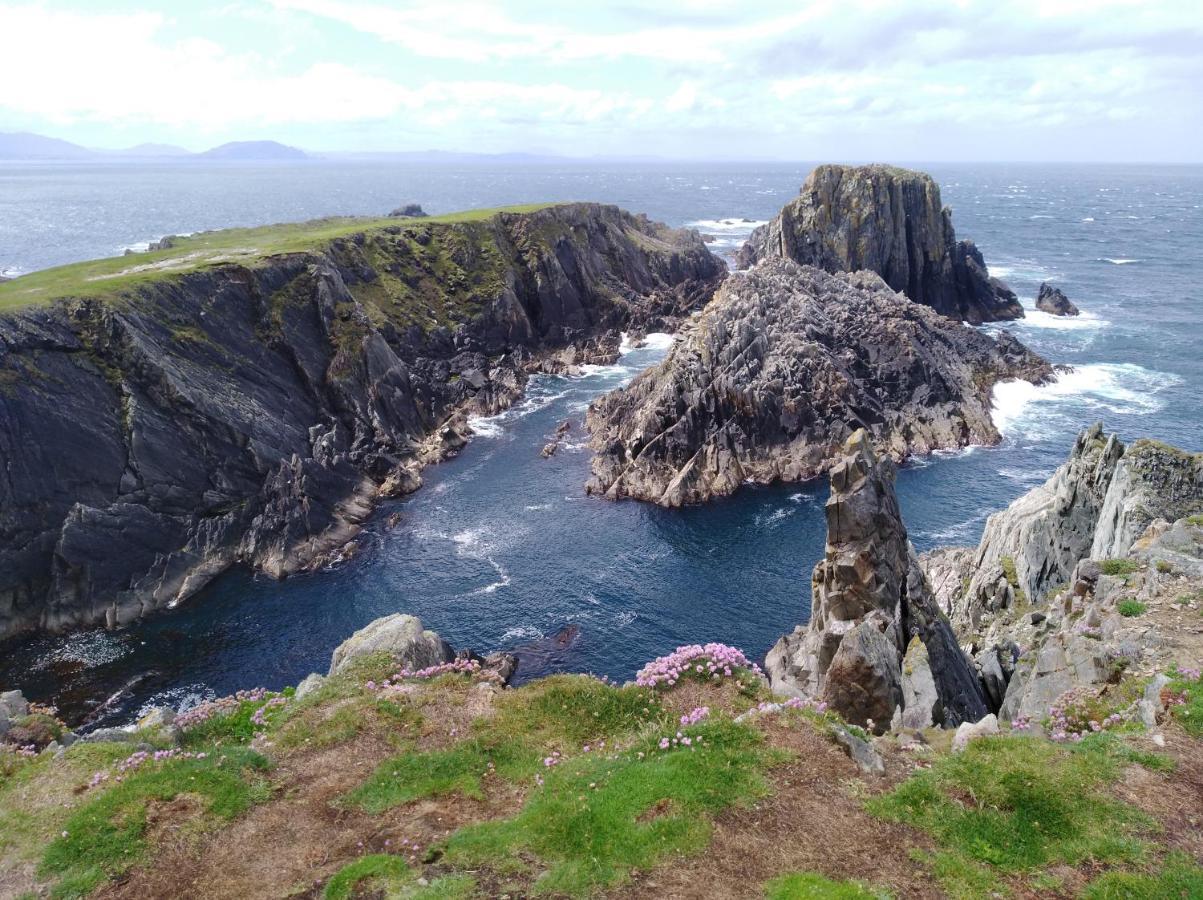 Madra Rua Organic Accommodation Ballyliffin Luaran gambar